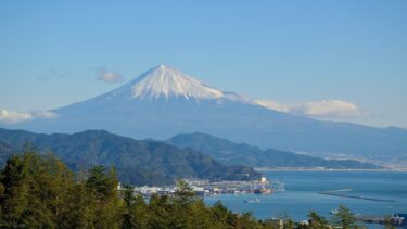 静岡・甲信越・北陸地方でグルテンフリーメニューがあるレストラン・カフェ