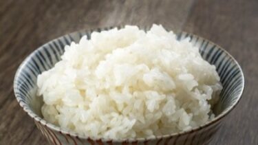 でんぷんの基礎：成り立ち・構造・種類と糊化・老化のメカニズム